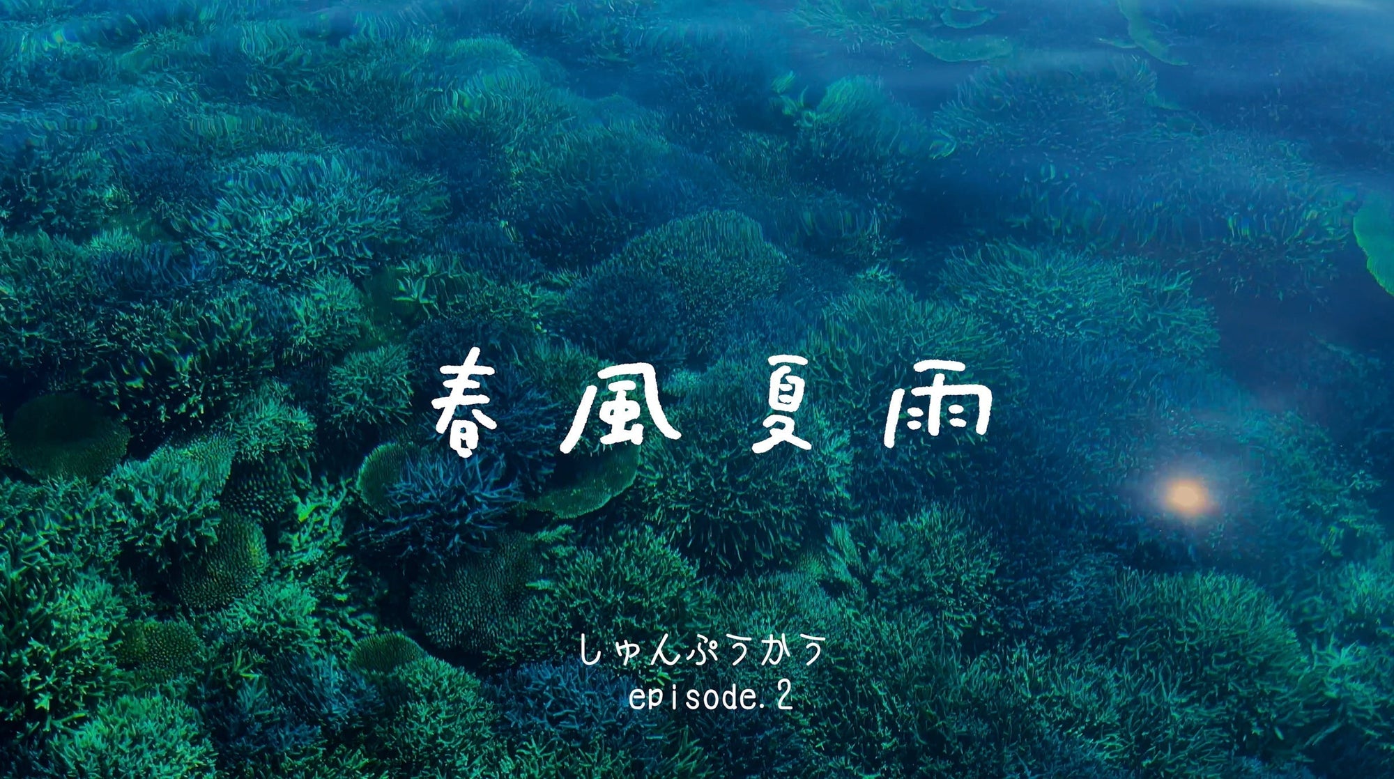 春風夏雨 (しゅんぷうかう) | エピソード2 | Us 4 IRIOMOTE THE MOVIE | いのちのつながりが島の明日をつむいでゆく