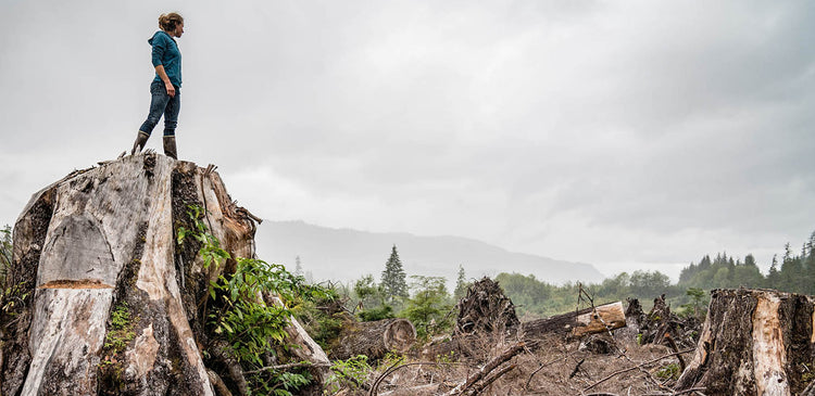 ストーリー画像-世界最大の温帯雨林トンガスを守ろう