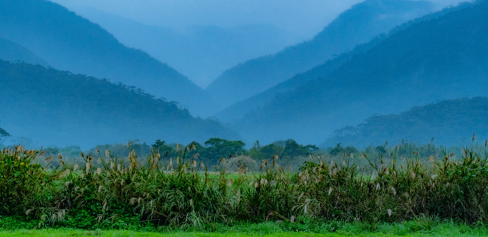 ストーリー画像-世界自然遺産、奄美大島。その豊かな生態系を守るために。KEENのチャリティTシャツが発売！