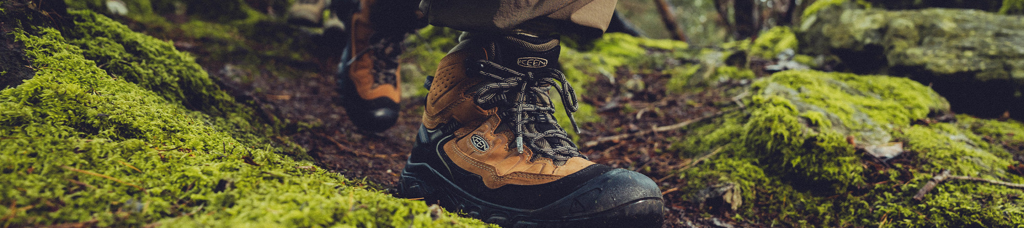 ターギー エイペックス