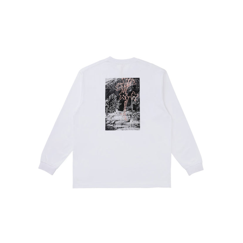 OC/RP アルパイン プランツ エルエス ティー  |  White